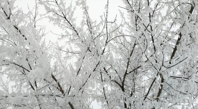 Весна пришла! Со снегом и похолоданием…