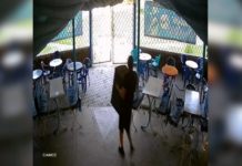 Слабоумие и отвага: обворовавший летнее кафе рубцовчанин позировал перед камерами видеонаблюдения