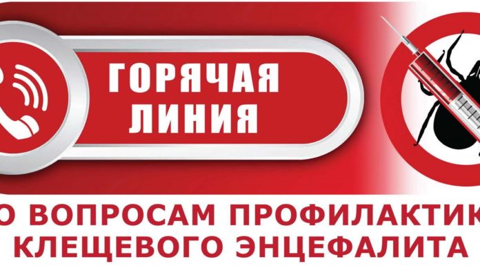 В Рубцовске работает «горячая линия» по профилактике клещевого энцефалита