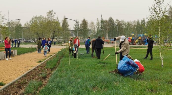 В Рубцовске проходит акция «Сад памяти»: фоторепортаж