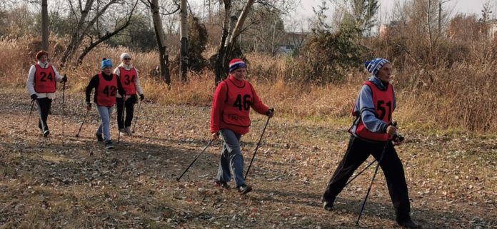 Спартакиада пенсионеров Северная ходьба (23)