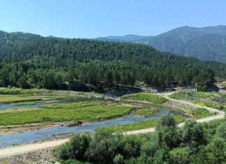 +26°С и ясно: погода в Алтайском крае и Рубцовске на 3 дня