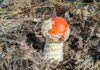 До +19°С и без осадков: погода в Алтайском крае и Рубцовске 23 сентября