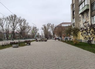До +8°С: погода в Алтайском крае и Рубцовске 29 октября