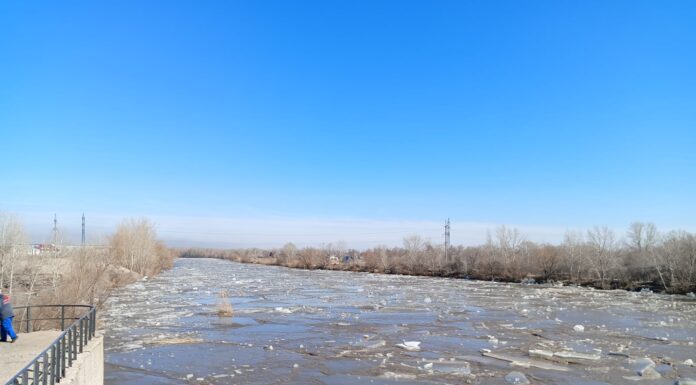Вода в Алее держится на отметке 361 см: власти Рубцовска оценили угрозу паводка