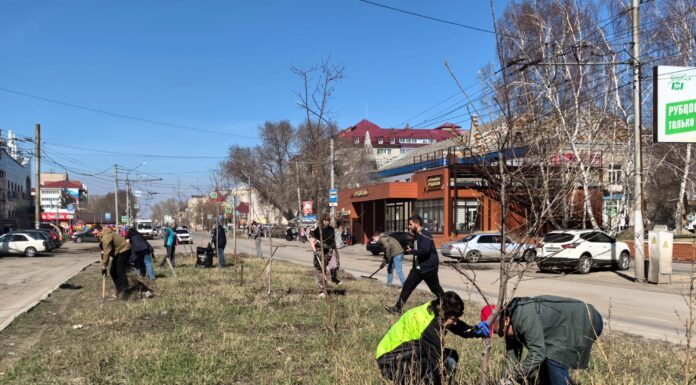 В Рубцовске предприниматели вышли на субботник: видео