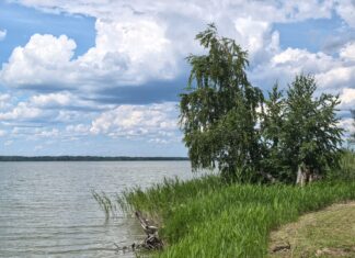 Жара до +34°С и без осадков: погода в Алтайском крае и Рубцовске на 3 дня