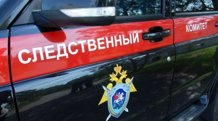Правоохранительные органы Алтайского края проводят проверки после драки рубцовчанина с подростками неславянской внешности