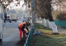 Коммунальные службы Рубцовска отчитались о проделанной работе за неделю