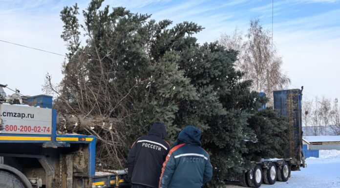 В Рубцовск на площадь Ленина доставили главную городскую елку