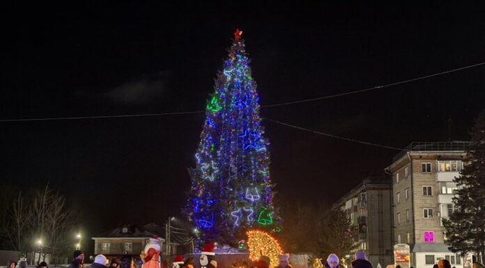 Новогоднее поздравление временно исполняющего полномочия Главы города Рубцовска Игоря Башмакова