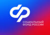 Как самозанятому на Алтае получить больничный: пошаговая инструкция от СФР
