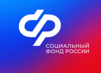Как самозанятому на Алтае получить больничный: пошаговая инструкция от СФР