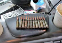 В колонии Рубцовска пресекли попытку провоза боеприпасов: в машине нашли 12 патронов