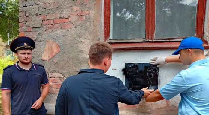 Котики против наркотиков: на домах Рубцовска вместо опасной рекламы красуются коты