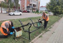 Ремонт скамеек, грейдирование и полив цветов: на улицах Рубцовска продолжает работать «АвтоСпецТехника»