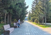 До +33°С, дожди и грозы: погода в Алтайском крае и Рубцовске 5 августа
