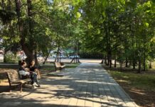 До +34°С и три штормовых предупреждения: погода в Алтайском крае и Рубцовске 4 августа