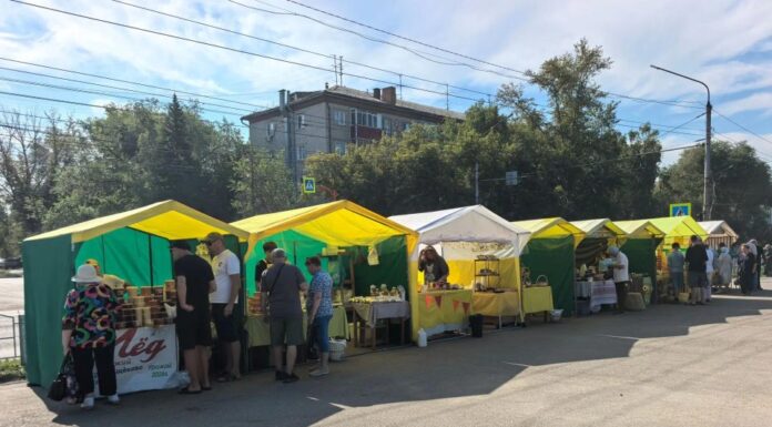 Вкусный, полезный, ароматный: в Рубцовске открылся Фестиваль меда