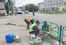 Рубцовские коммунальщики готовят город ко Дню знаний