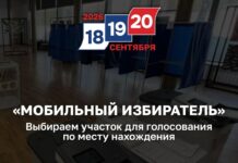 Не по прописке, а по душе: как жители Алтайского края выбирают участки для голосования