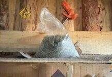 Рубцовские полицейские изъяли более 2,4 кг марихуаны у жителя Егорьевского района
