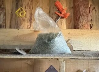 Рубцовские полицейские изъяли более 2,4 кг марихуаны у жителя Егорьевского района
