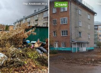 Рубцовск тратит миллионы на уборку стихийных свалок: в мэрии призвали горожан к ответственности