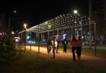 Бизнес украшает город: в Рубцовске зажёгся 20-метровый световой «коридор», на очереди второй